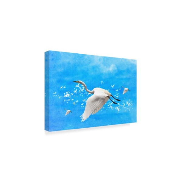 Ata Alishahi 'White Birds And Blue Sky' Canvas Art,12x19